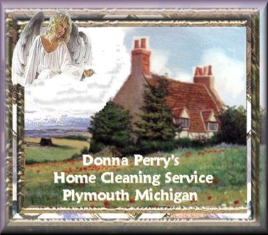 Donna Perrys Home Cleaning Service